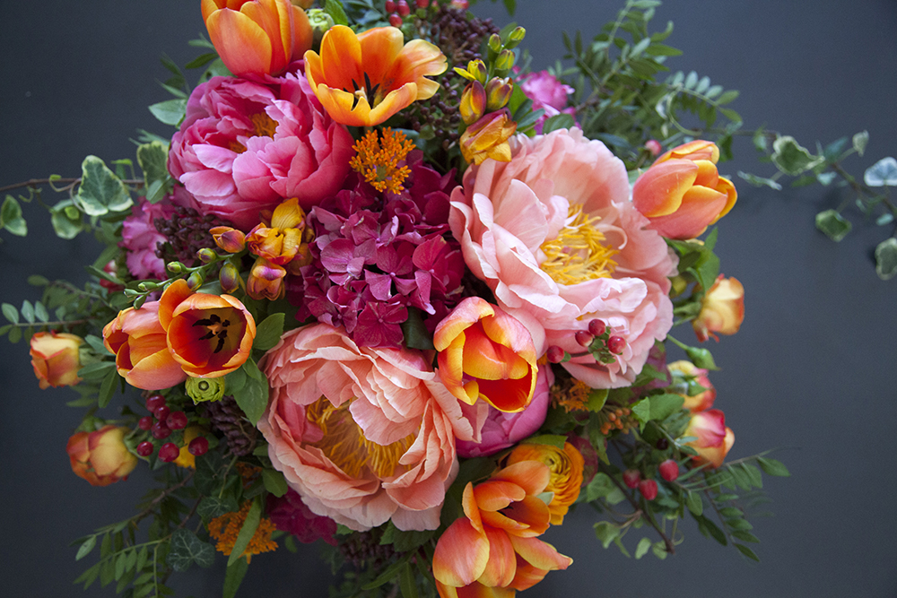 portraits and product stills